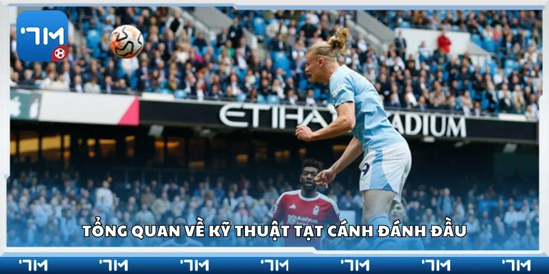 Giới thiệu về kỹ thuật tạt cánh đánh đầu