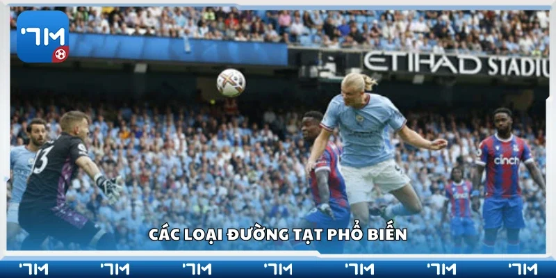 Một số loại đường tạt phổ biến