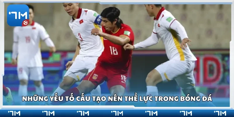 Những yếu tố cấu tạo nên thể lực trong bóng đá