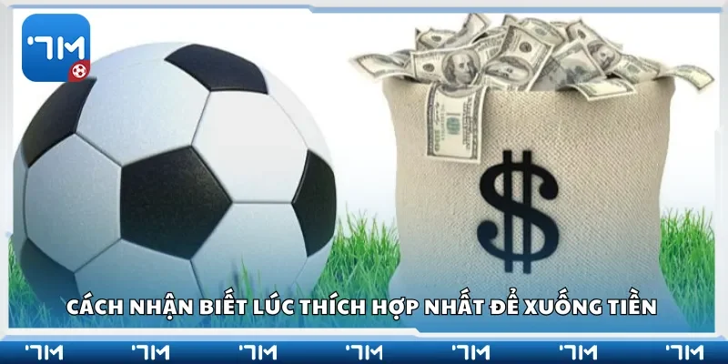 Cách nhận biết lúc thích hợp nhất để xuống tiền