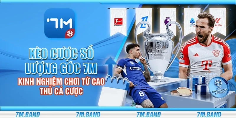 Kèo cược số lượng góc 7m – Kinh nghiệm chơi từ cao thủ cá cược