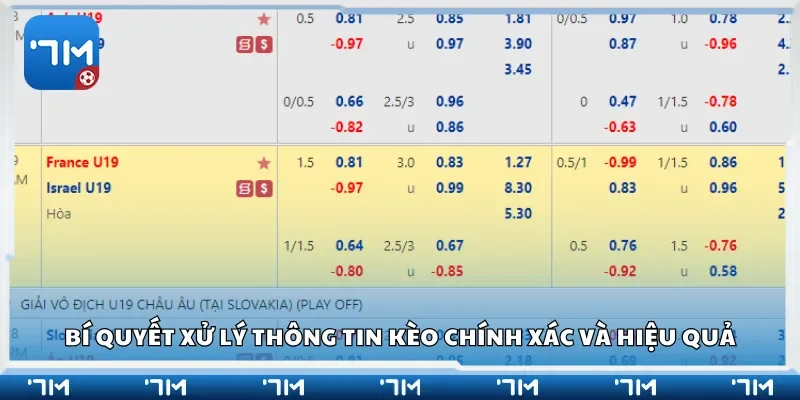 Bí quyết xử lý thông tin kèo chính xác và hiệu quả