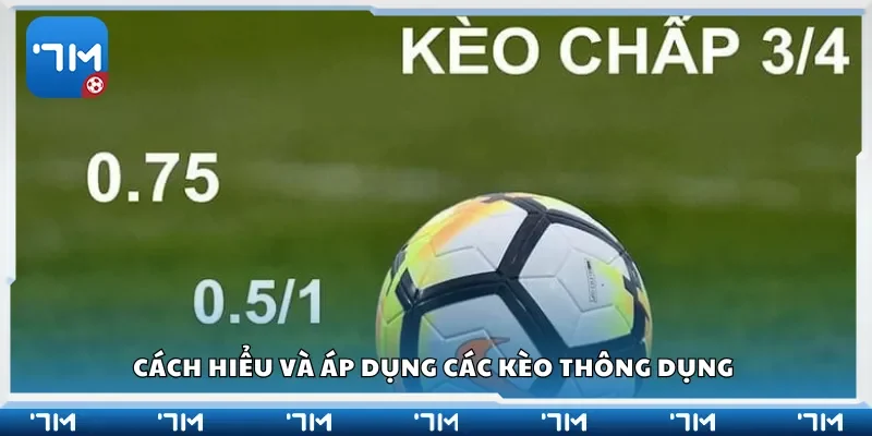 Cách hiểu và áp dụng các kèo thông dụng 