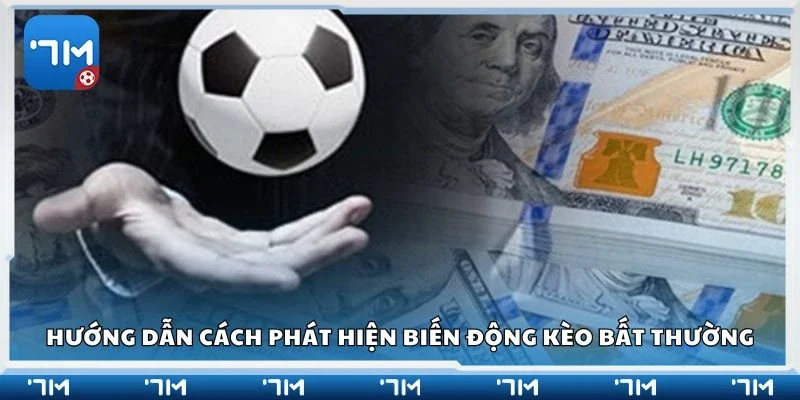 Hướng dẫn cách phát hiện biến động kèo bất thường