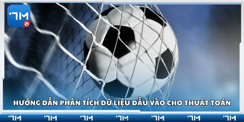 Hướng dẫn phân tích dữ liệu đầu vào cho thuật toán