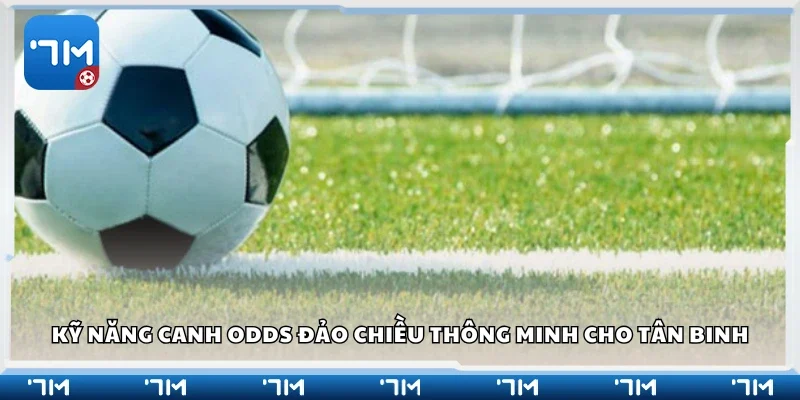 Kỹ năng canh odds đảo chiều thông minh 