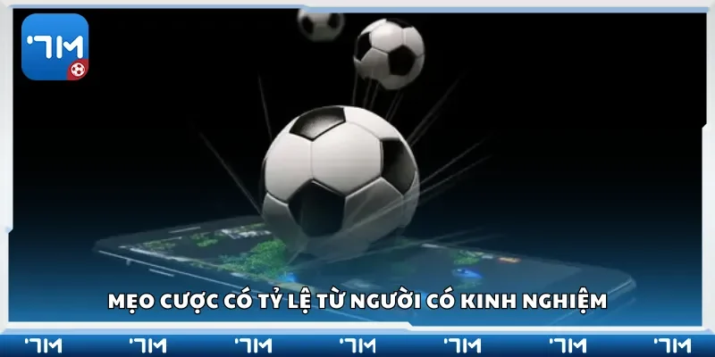 Mẹo cược có tỷ lệ từ người có kinh nghiệm