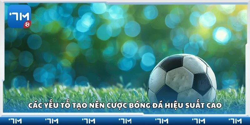 Một số yếu tố tạo nên cược bóng đá hiệu suất cao