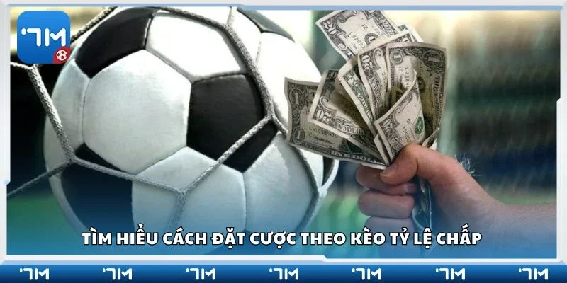 Tìm hiểu cách đặt cược theo kèo tỷ lệ chấp 