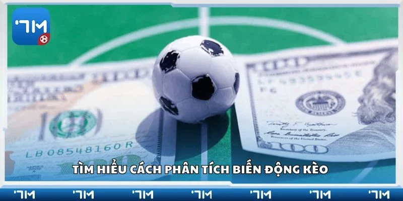 Tìm hiểu cách phân tích biến động kèo 
