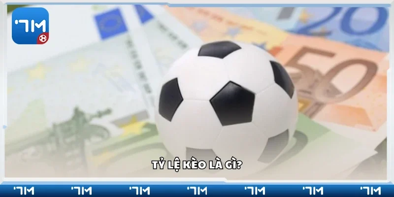 Tìm hiểu sơ lược về tỷ lệ kèo 