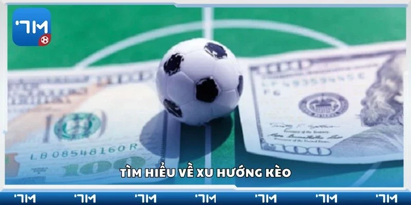 Tìm hiểu về xu hướng kèo