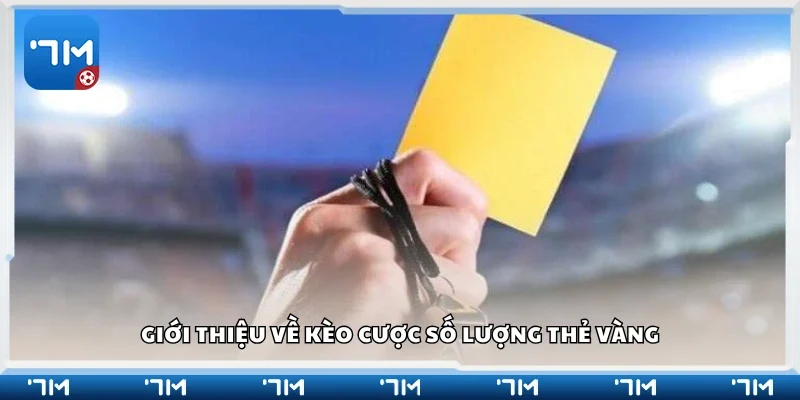 Tổng quan về kèo cược số lượng thẻ vàng